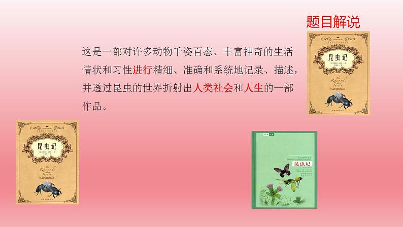 2024年中考语文复习名著阅读专题《昆虫记》科普作品的阅读课件第2页