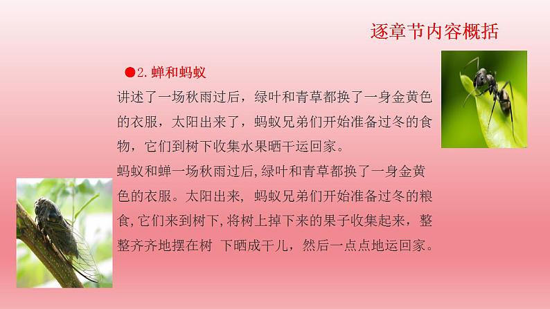 2024年中考语文复习名著阅读专题《昆虫记》科普作品的阅读课件第7页