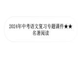 2024年中考语文复习专题 名著阅读 1、单篇名著小语段综合练  课件(