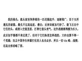 2024年中考语文复习专题 名著阅读 1、单篇名著小语段综合练  课件(