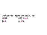 2024年中考语文复习专题 名著阅读 1、单篇名著小语段综合练  课件(