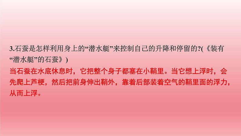 2024年中考语文复习名著导读专题★★　《昆虫记》课件第3页