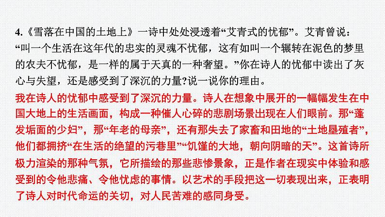 2024年中考语文复习名著导读专题★★《艾青诗选》课件第4页