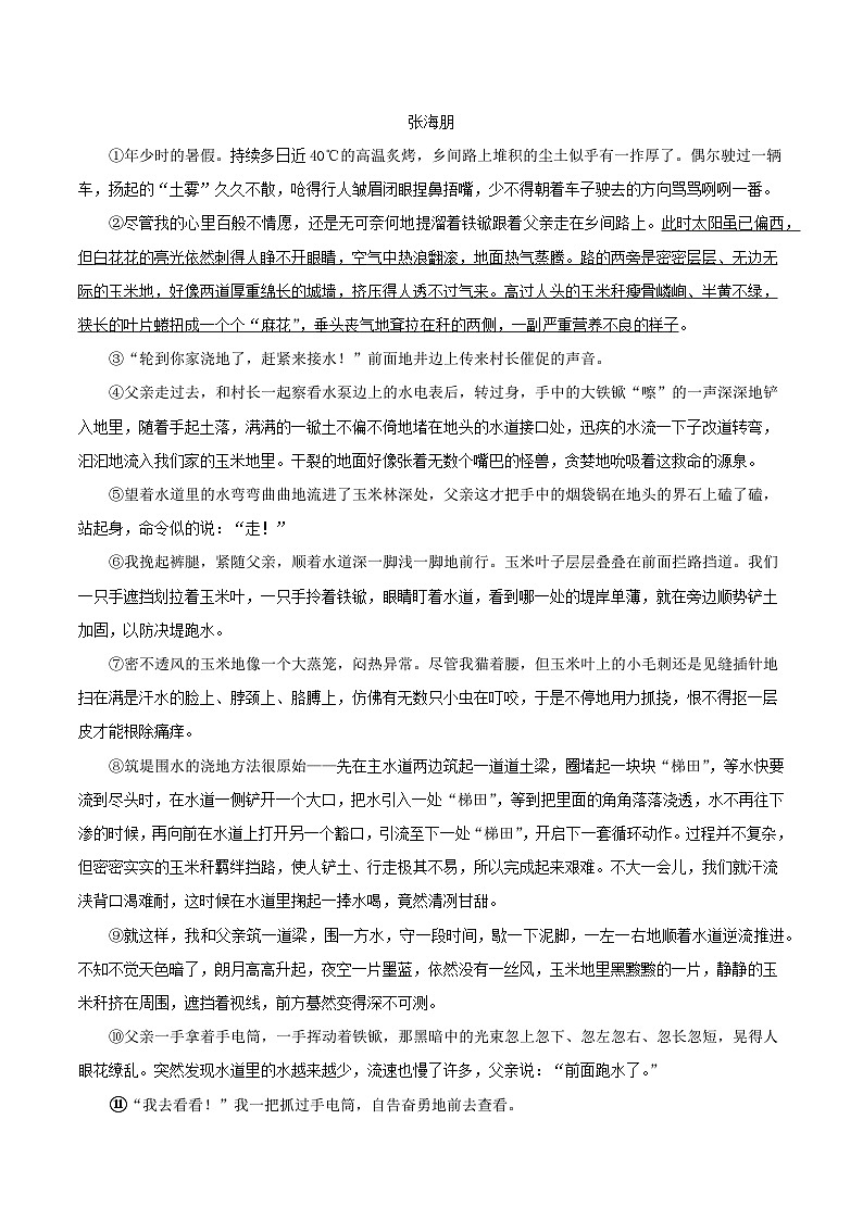 2024中考语文二轮复习讲练测(全国通用)专题11记叙文阅读——小说(测试)(原卷版+解析)03
