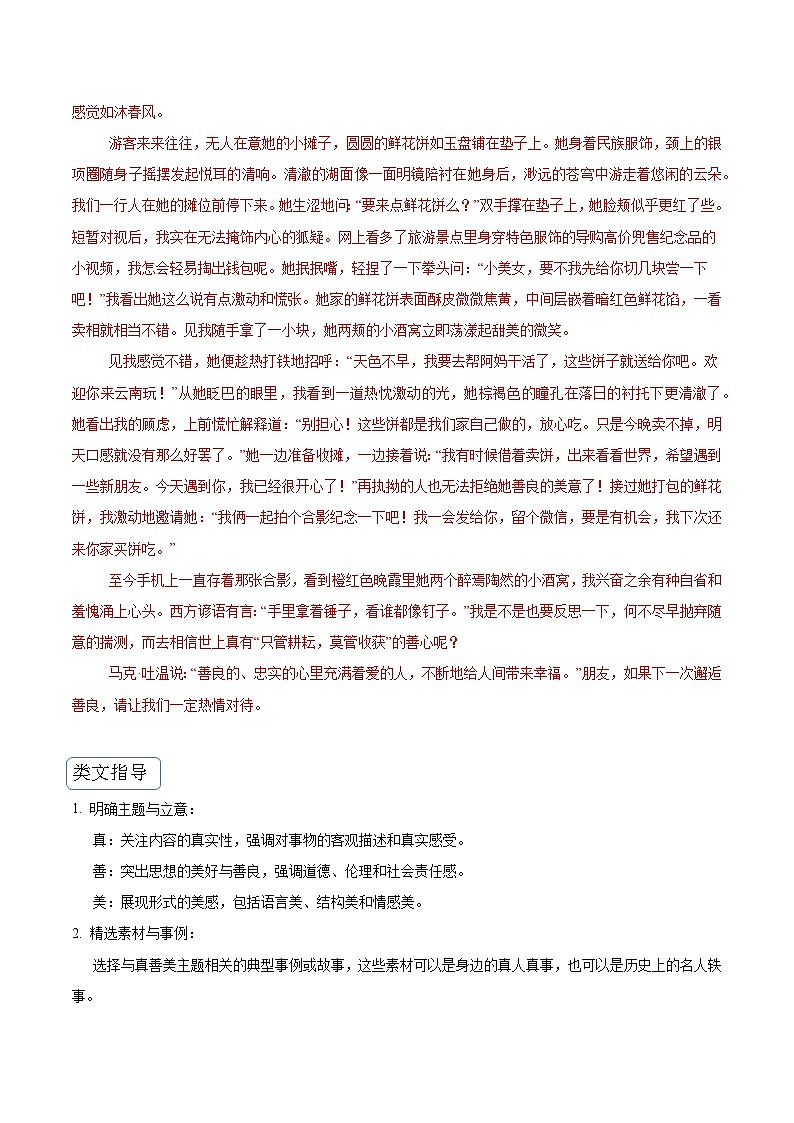 专题13 真善美类作文（真题再现+类文指导+类文预测）2024中考语文作文预测及导写（原卷版）第2页