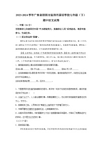 广东省深圳市盐田外国语学校2023-2024学年七年级下册期中语文试题（含解析）