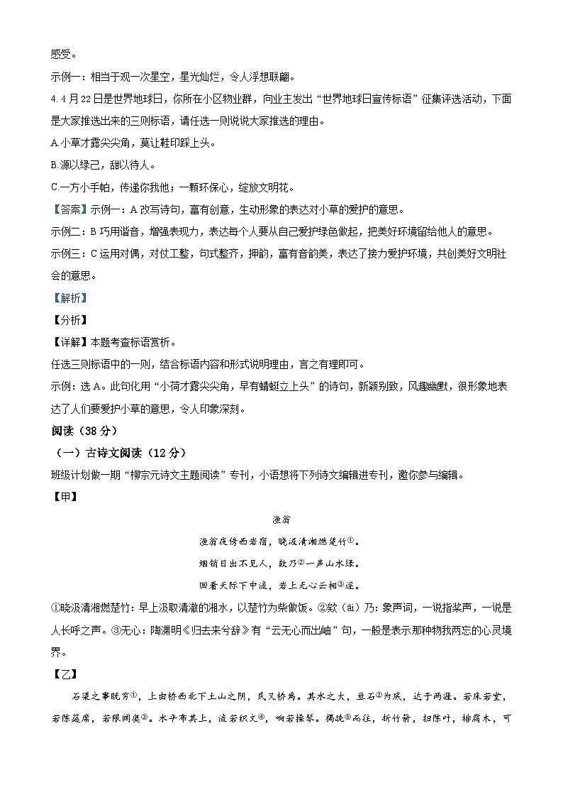 河北省石家庄市第九中学2023-2024学年八年级下学期期中语文试题（原卷版+解析版）03