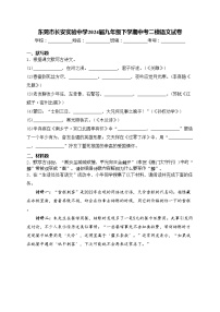 东莞市长安实验中学2024届九年级下学期中考二模语文试卷(含答案)