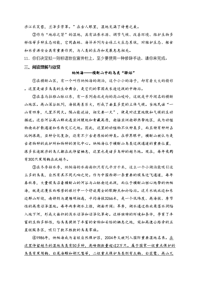 7. 大雁归来—八年级下册人教统编版语文优选100题(含答案)第3页