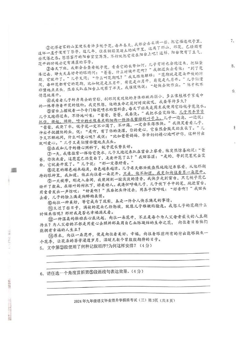 2024年安徽省芜湖市中考三模语文试题03