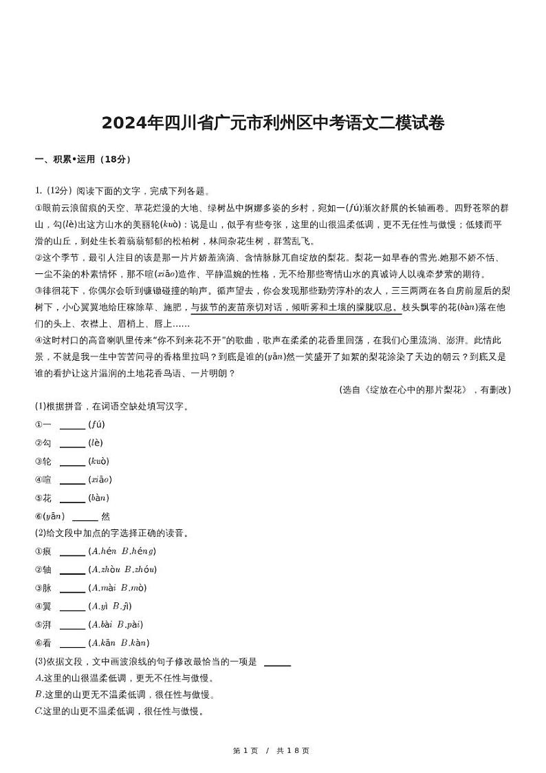 2024年四川省广元市利州区中考语文二模试卷01
