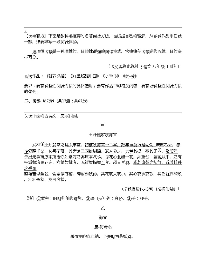 2024年福建省泉州市中考语文一模试卷02