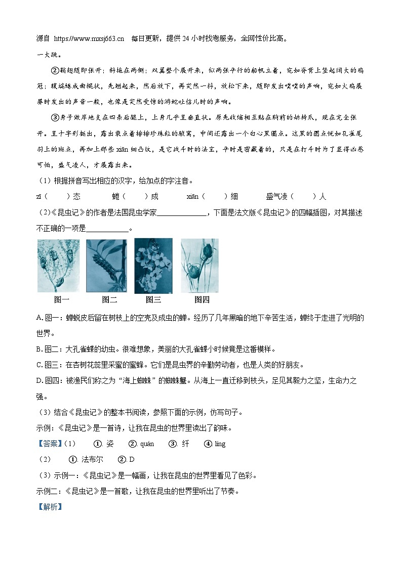 安徽省宿州市砀山第二中学2023-2024学年八年级上学期12月质量调研语文试题02