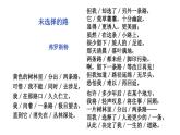 第20课《外国诗二首——未选择的路》课件++2023—2024学年统编版语文七年级下册