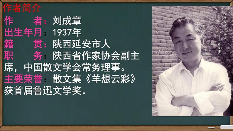 3 安塞腰鼓 课件 初中语文人教部编版八年级下册04
