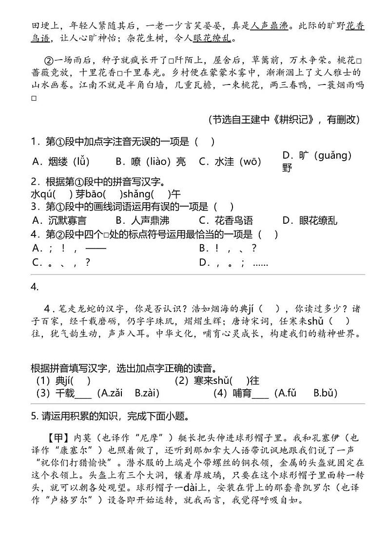 2024中考冲刺语文最热50题之 汉字第2页