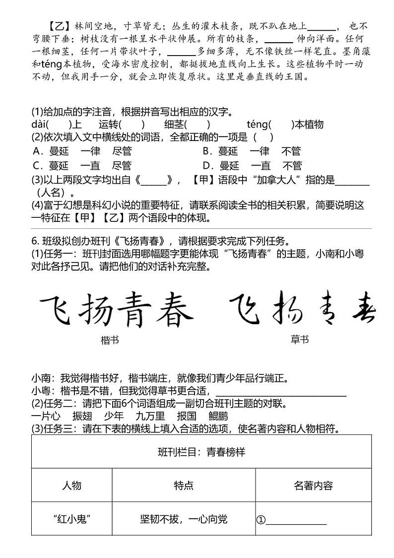 2024中考冲刺语文最热50题之 汉字第3页