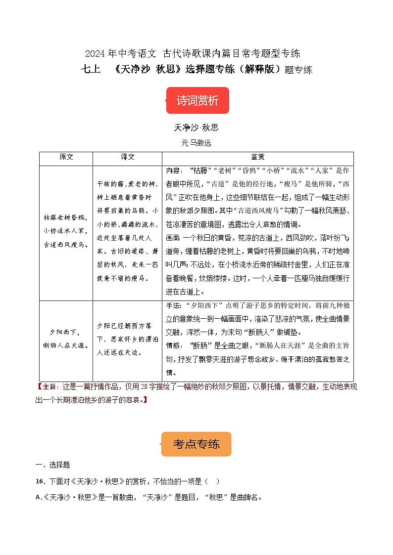 七上《天净沙·秋思》选择题专练-冲刺2024年中考语文古代诗歌课内篇目常考题型专练（解析版）01