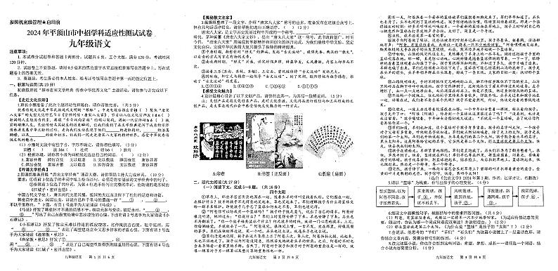 2024年河南省平顶山市中考三模语文试题01