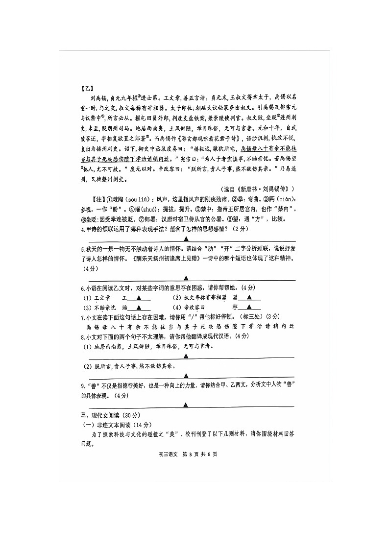 2024年江苏省宿迁市宿豫区中考三模语文试题03