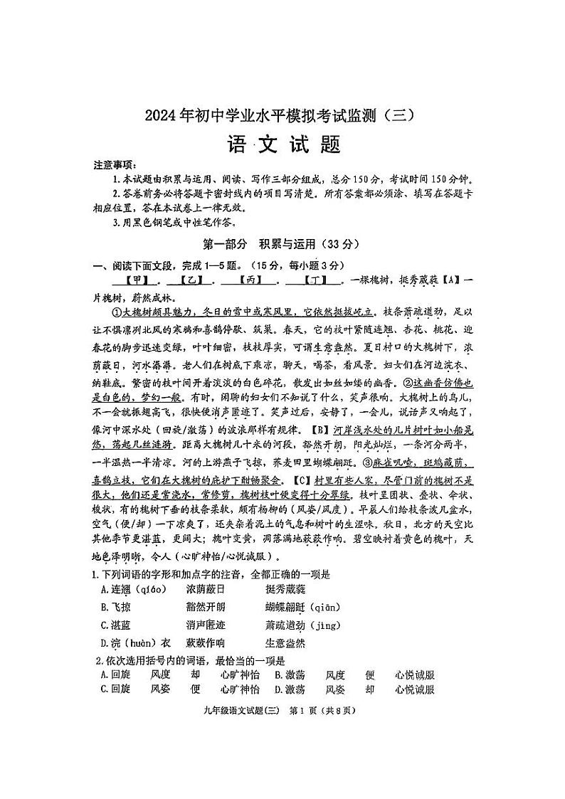 2024年山东省潍坊市寿光市中考三模语文试题01