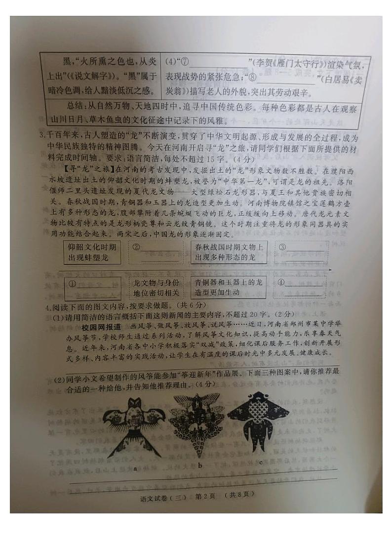 2024年河南省驻马店市中考三模语文试题第2页