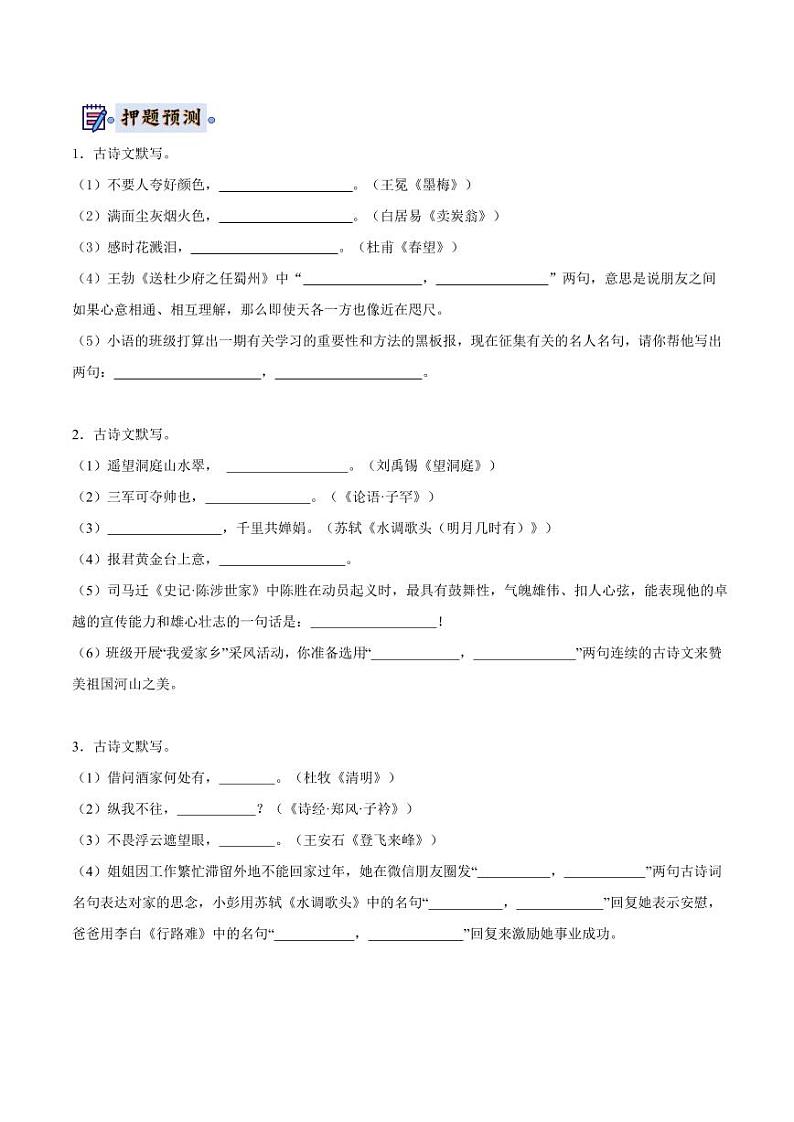 2024年中考终极押题猜想-语文（徐州专用）（原卷版）第2页