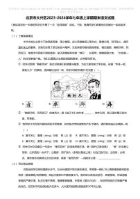 北京市大兴区2023-2024学年七年级上学期期末语文试题