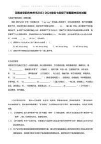 河南省安阳市林州市2023-2024学年七年级下学期期中语文试题