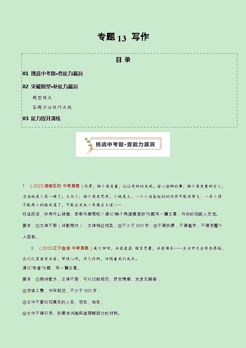 专题13 写作（查补能力·提升练）（原卷版）第1页