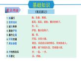 第三單元（單元復(fù)習(xí)課件）-八年級(jí)語(yǔ)文下冊(cè)同步備課系列（統(tǒng)編版）