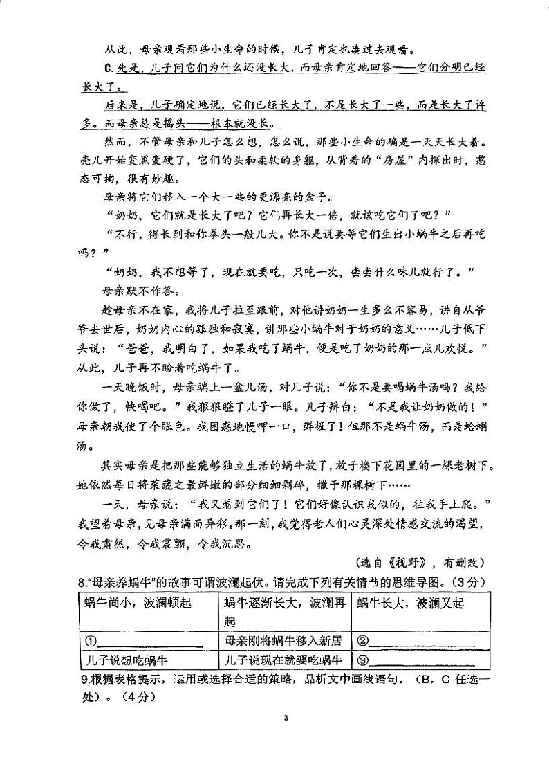 浙江省杭州市保叔塔申花实验学校2023-2024学年七年级下学期5月阶段性质量调研语文试卷03