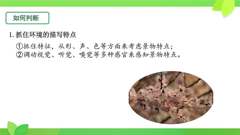 中考语文一轮复习课件：记叙文之环境描写的作用08
