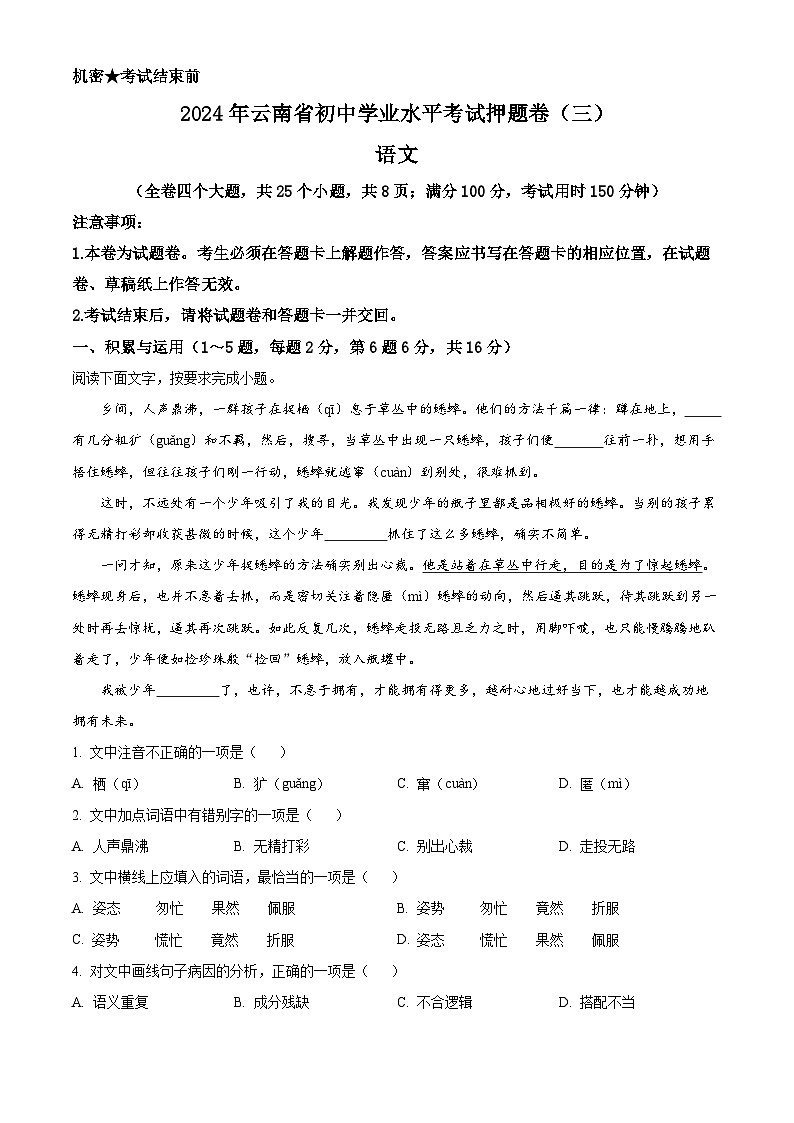 2024年云南省楚雄彝族自治州双柏县中考三模语文试题（学生版+教师版）01