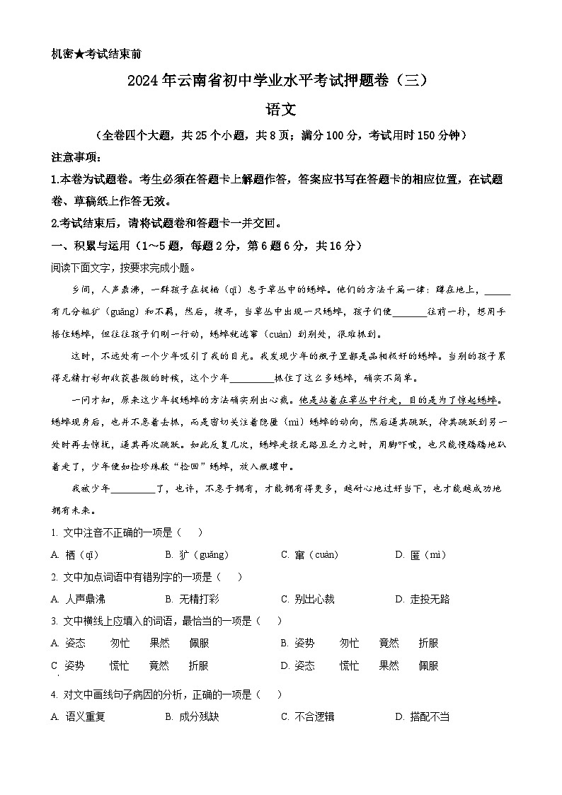 2024年云南省楚雄彝族自治州双柏县中考三模语文试题（学生版+教师版）01