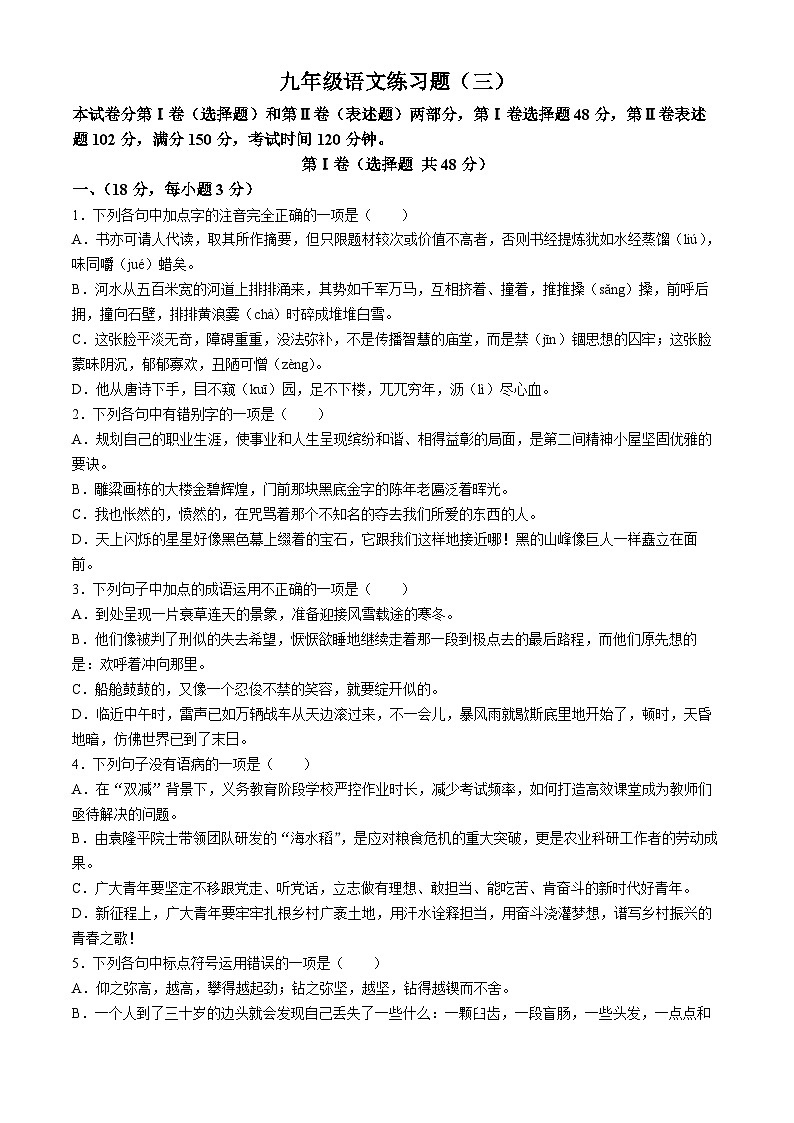 2024年山东省泰安市岱岳区中考三模语文试题第1页