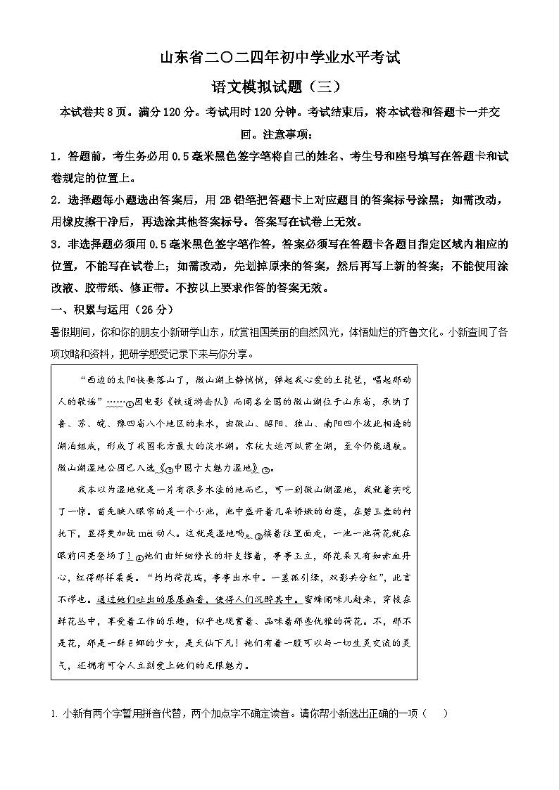 2024年山东省聊城市临清市中考模拟（三）语文试题（教师版）第1页