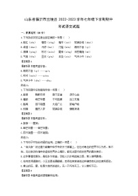 语文：山东省临沂市兰陵县2022-2023学年七年级下学期期中考试试题（解析版）
