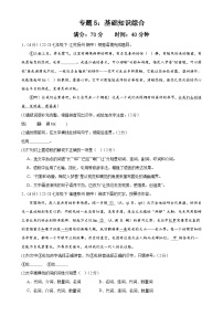 专题5：基础知识综合（40分钟限时小测）-2023-2024学年七年级语文下册期中复习题组训练与综合测试（原卷版）