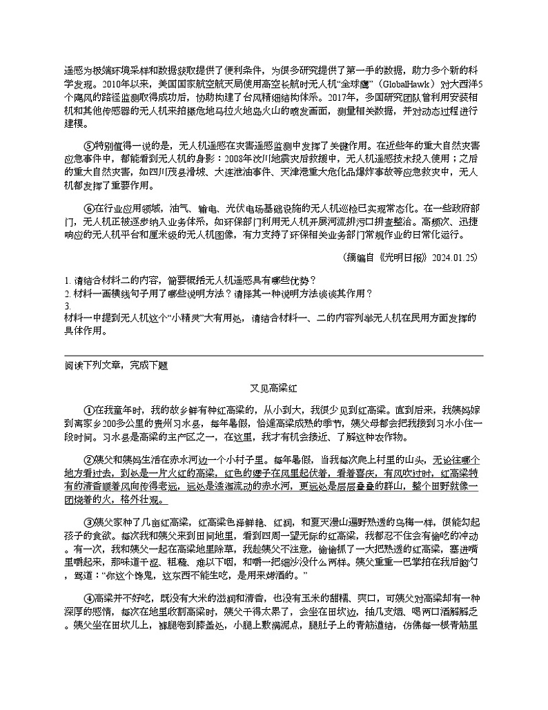 四川省泸州市龙马潭区2024年中考语文一模试卷02