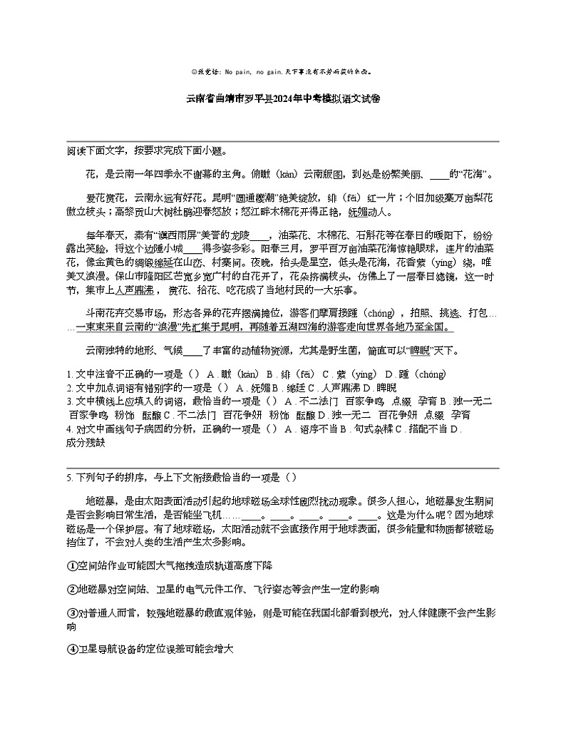 云南省曲靖市罗平县2024年中考模拟语文试卷01