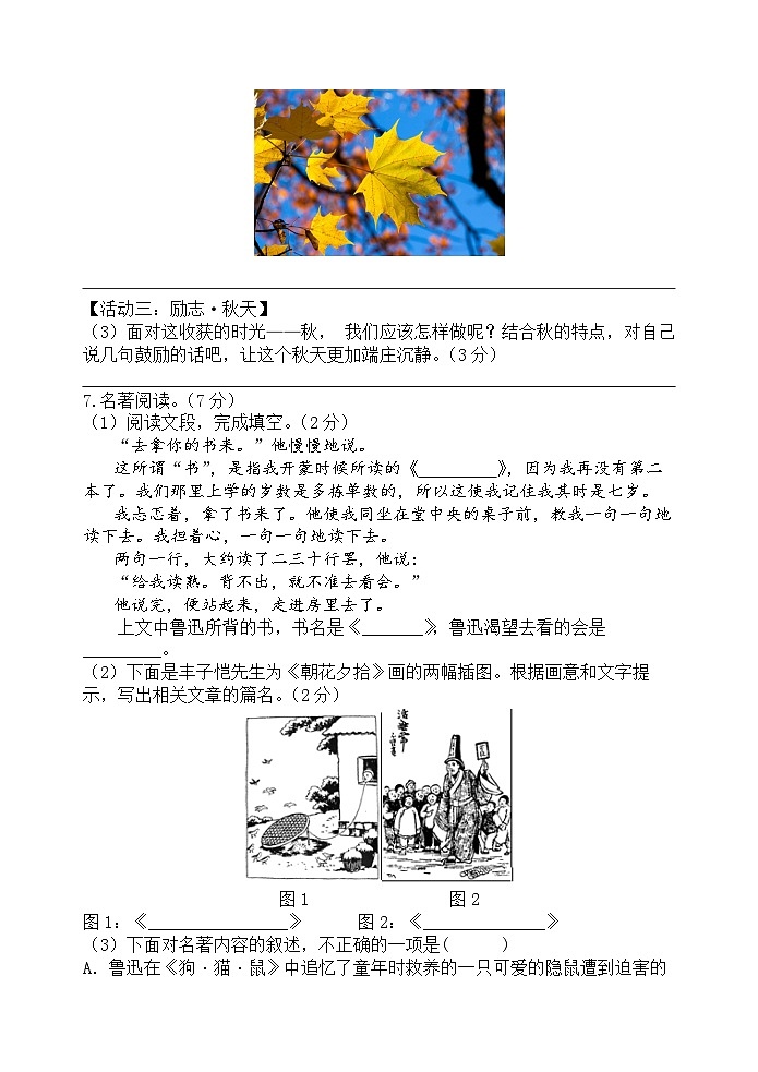 江苏省扬州市梅岭中学教育集团2023-2024学年七年级上学期第一次月考语文试题（含答案）03