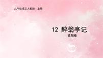 人教部编版九年级上册醉翁亭记教案配套课件ppt
