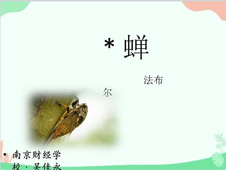 统编版语文八年级上册 20 蝉课件01