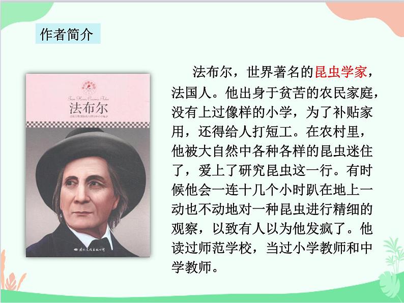 统编版语文八年级上册 20 蝉课件04