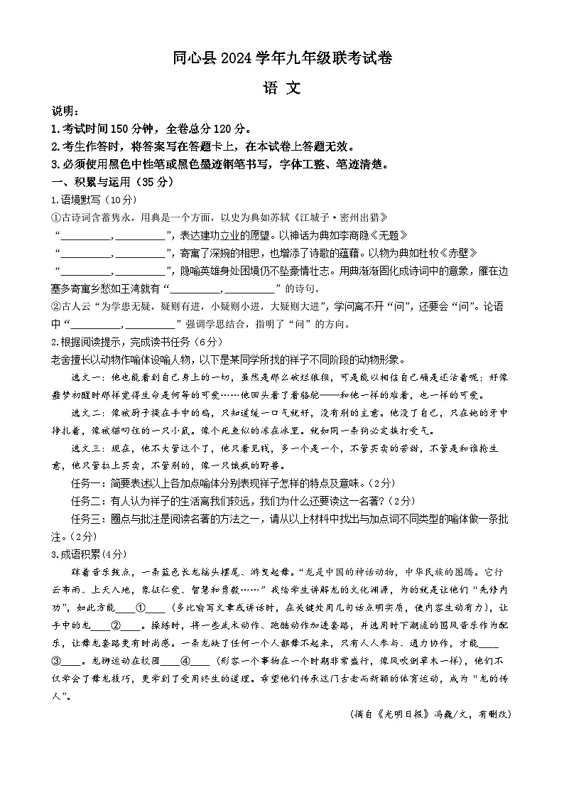 2024年宁夏吴忠市同心县中考一模语文试题01