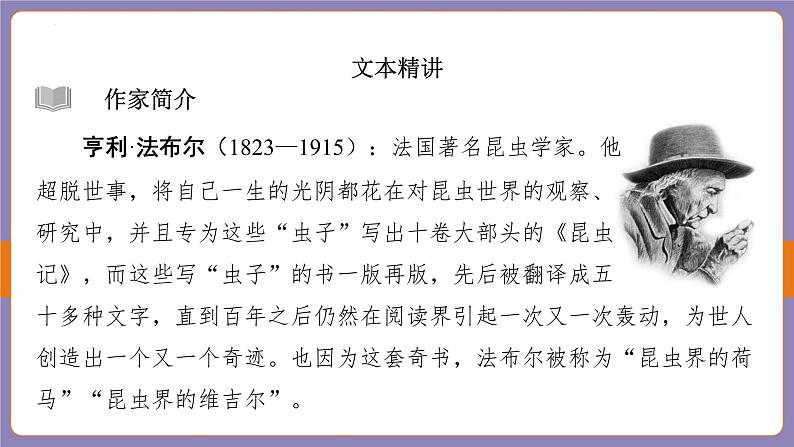 2024年中考二轮专题复习名著单篇过关：《昆虫记》课件第3页