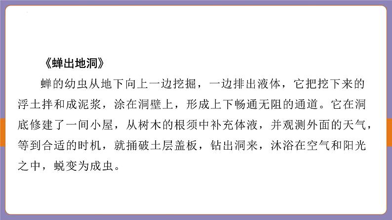 2024年中考二轮专题复习名著单篇过关：《昆虫记》课件第7页
