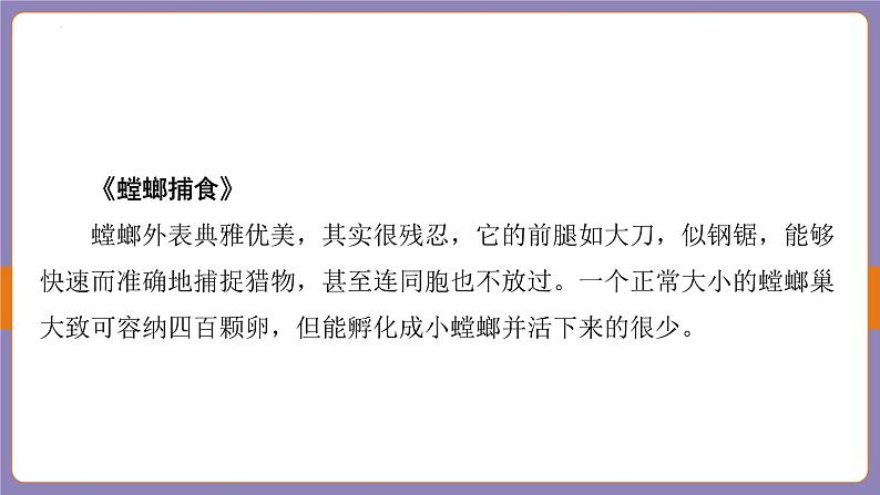 2024年中考二轮专题复习名著单篇过关：《昆虫记》课件第8页