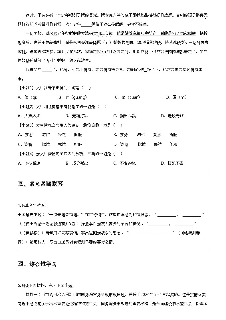 2024年云南楚雄双柏县中考三模语文试卷02